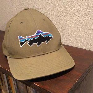 Patagonia Fitz Roy Trucker Hat